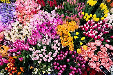 修长城模拟器 《中国边疆》试玩Demo上线Steam